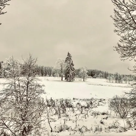 公寓 App 622 Panoramic Hohegeiss Mit Wlan Terrassenhaus 布劳恩拉格