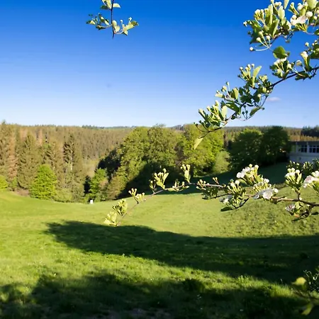 App 622 Panoramic Hohegeiss Mit Wlan Terrassenhaus