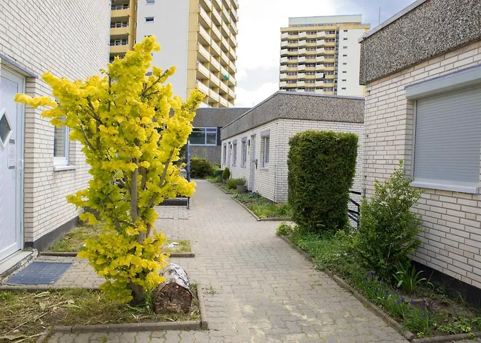 App 622 Panoramic Hohegeiss Mit Wlan Terrassenhaus * Braunlage